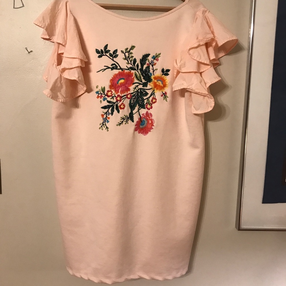 Zara Basic Woman mini dress with embroidery